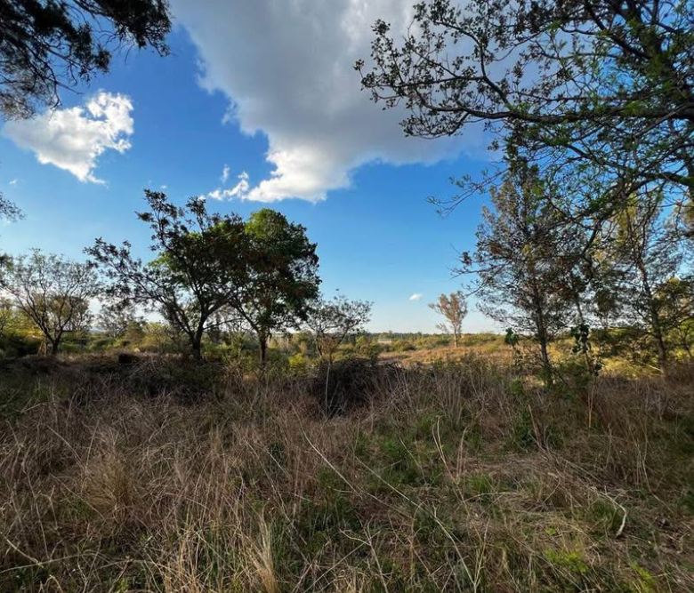 Lote exclusivo 13.755 m² rodeado de naturaleza