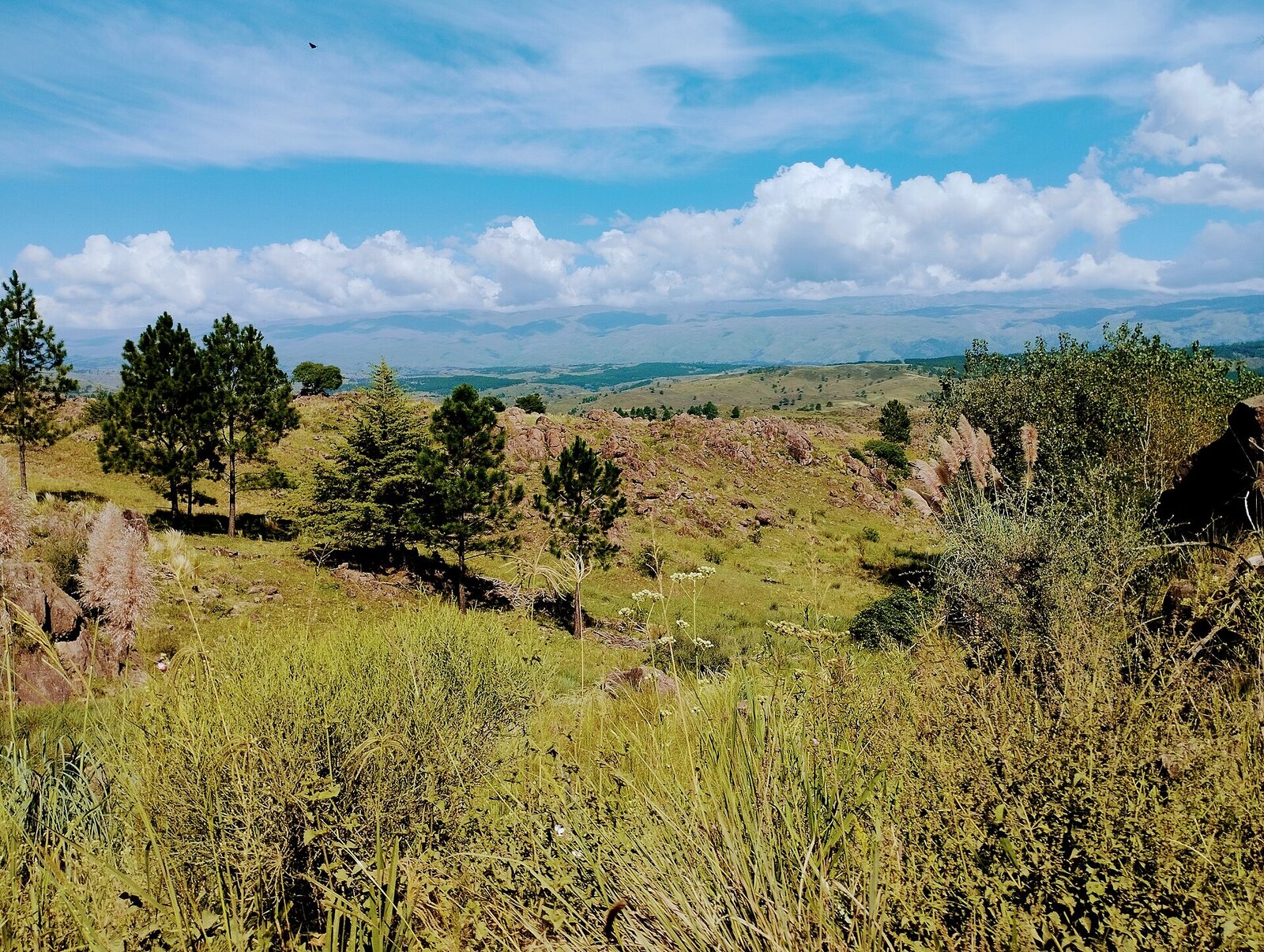 Campo 5,5 ha con vista panorámica 360°